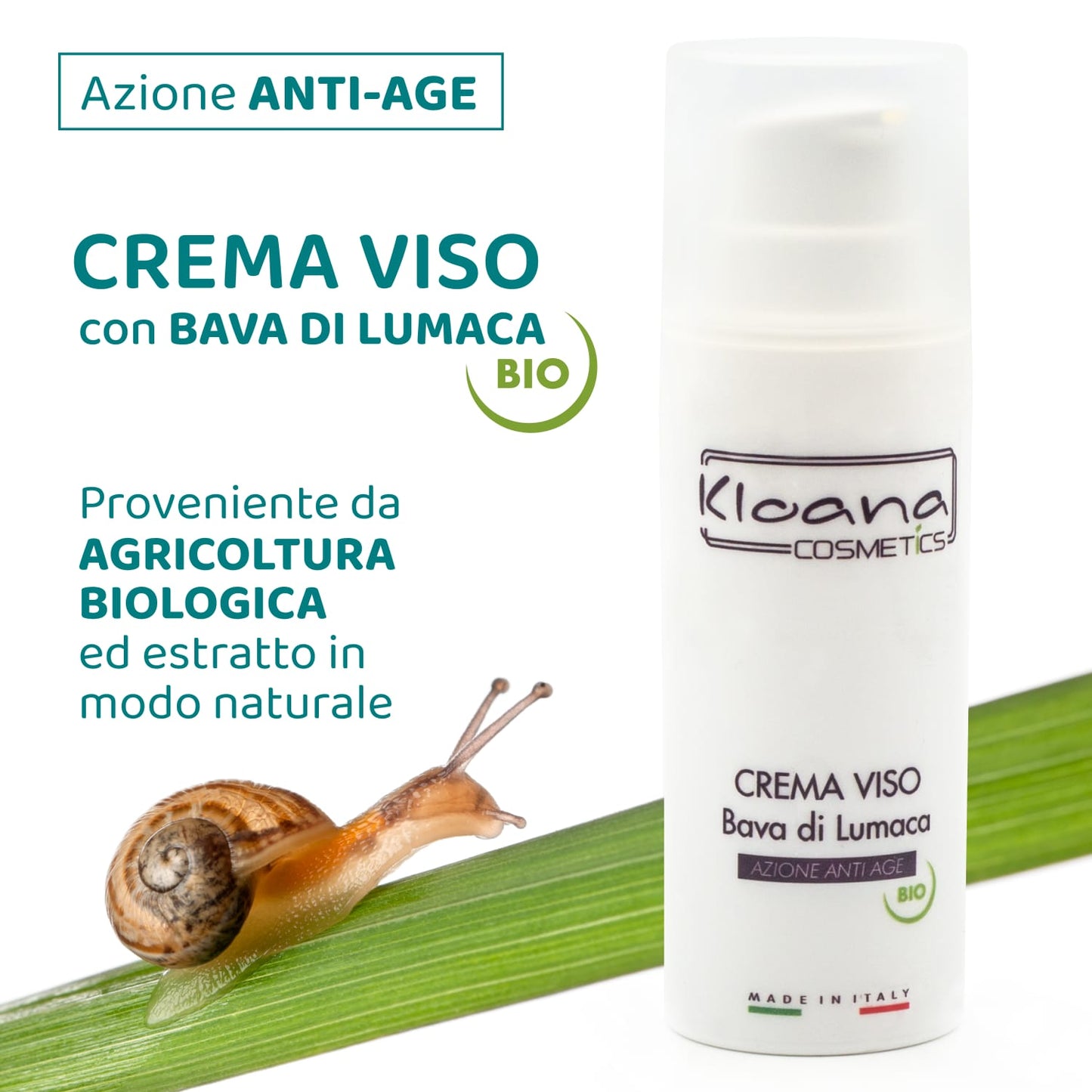 Kloana Cosmetics Crema Viso Antirughe Bava di Lumaca e Acido ialuronico - Antiage Notte Made in Italy , 50ml